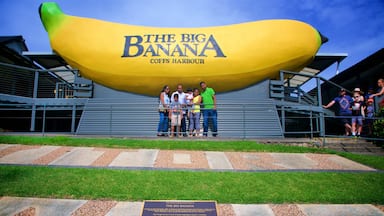 Una gran escultura de plátano en The Big Banana Coiffs Harbour.