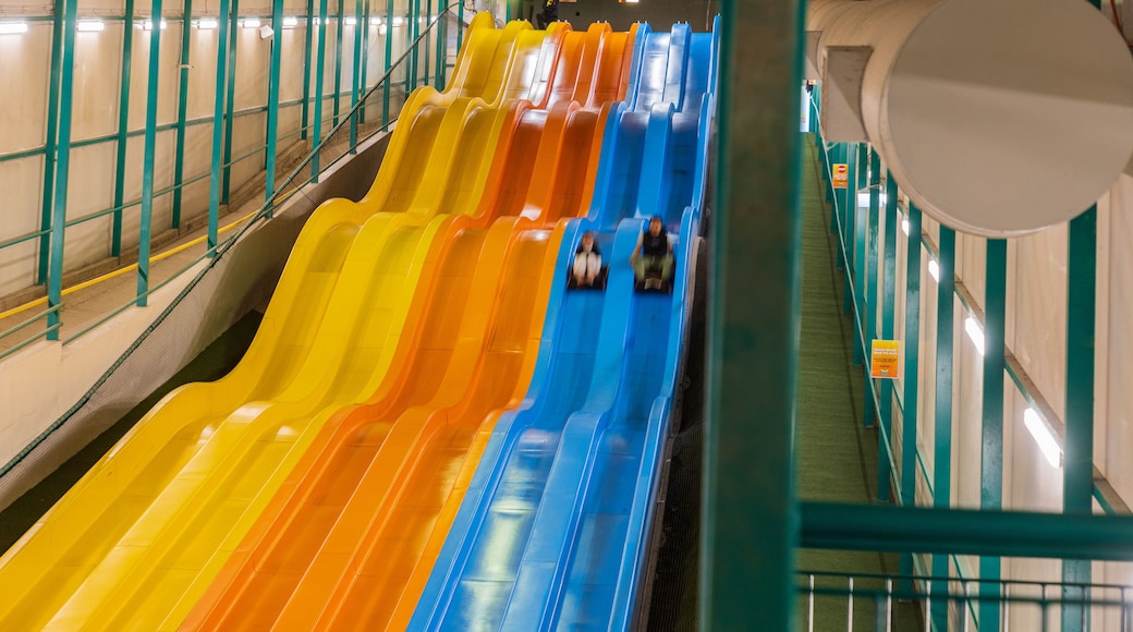 Big Banana Fun Park showing interior views and rides