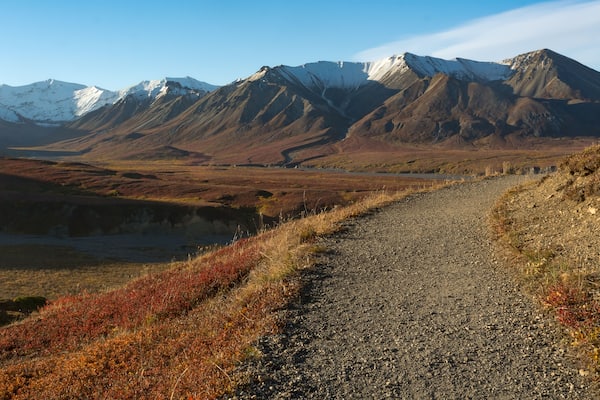 Gravel hiking trail bends off to the right away from a gravel river bed snaking across the valley below the Eielson visitor center in Denali National Park and Preserve