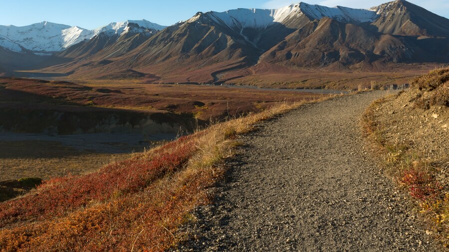 Gravel hiking trail bends off to the right away from a gravel river bed snaking across the valley below the Eielson visitor center in Denali National Park and Preserve