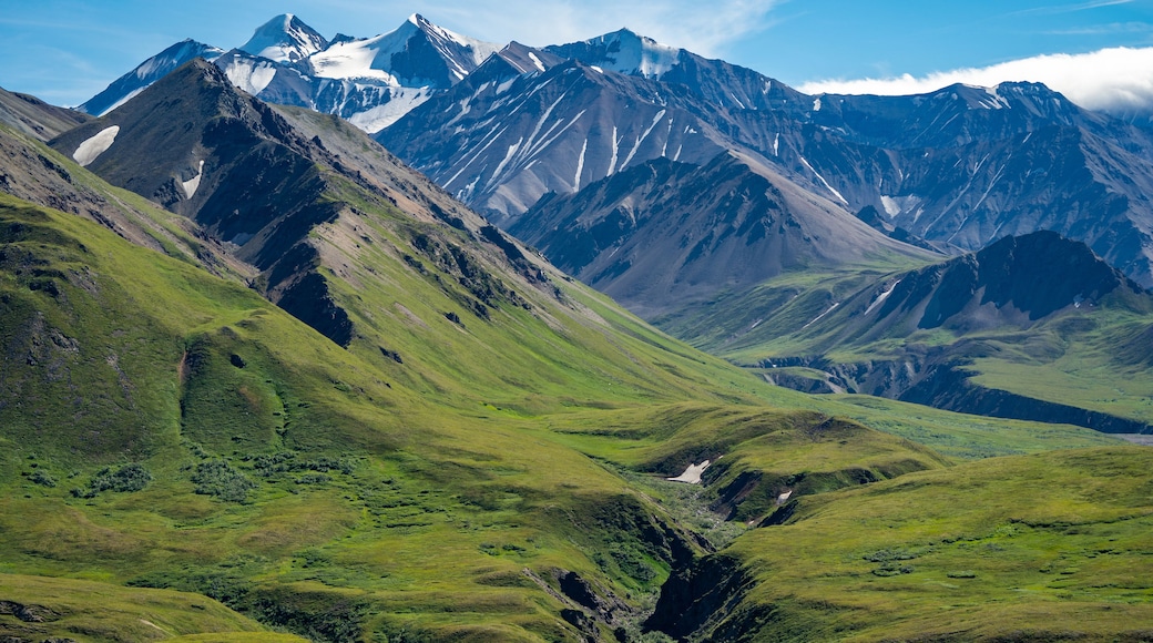 The Alaska Range mountains as seen from Eielson Visitors Center in Denali National Park on a clear sunny summer day