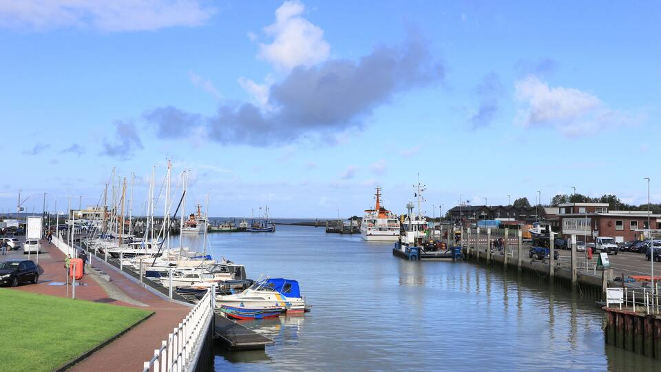 A marina with boats docked, a grassy area, and buildings in the background.