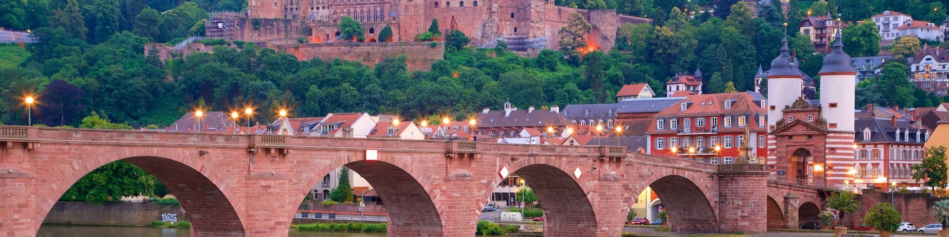 Karl Theodor Bridge which includes a city, night scenes and heritage elements
