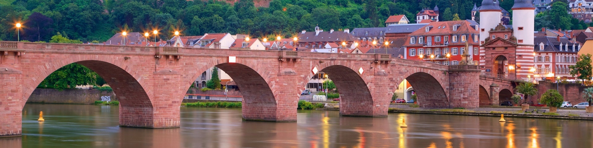 Karl Theodor Bridge which includes a city, night scenes and heritage elements