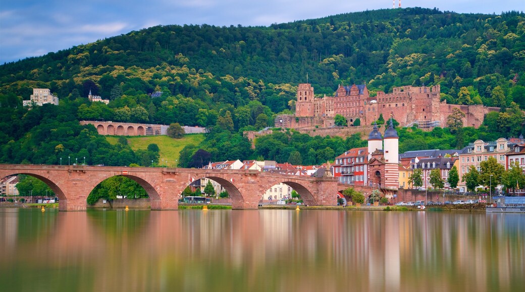 Puente Karl Theodor ofreciendo un río o arroyo, elementos del patrimonio y un puente