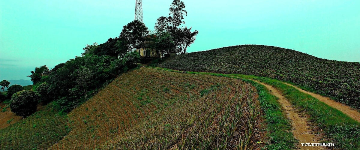 A hilly landscape with a dirt path, a tall communication tower, and a field of crops.