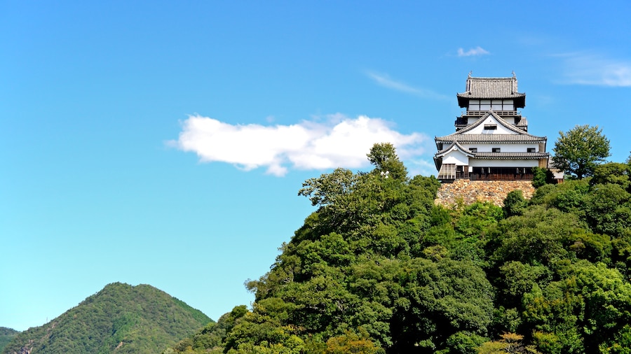 Inuyama castle under the blue sky in Inuyama city, Japan; Shutterstock ID 555947974