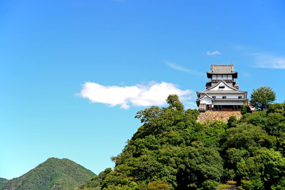 A traditional Japanese castle on a hill with dense green trees and a clear blue sky.