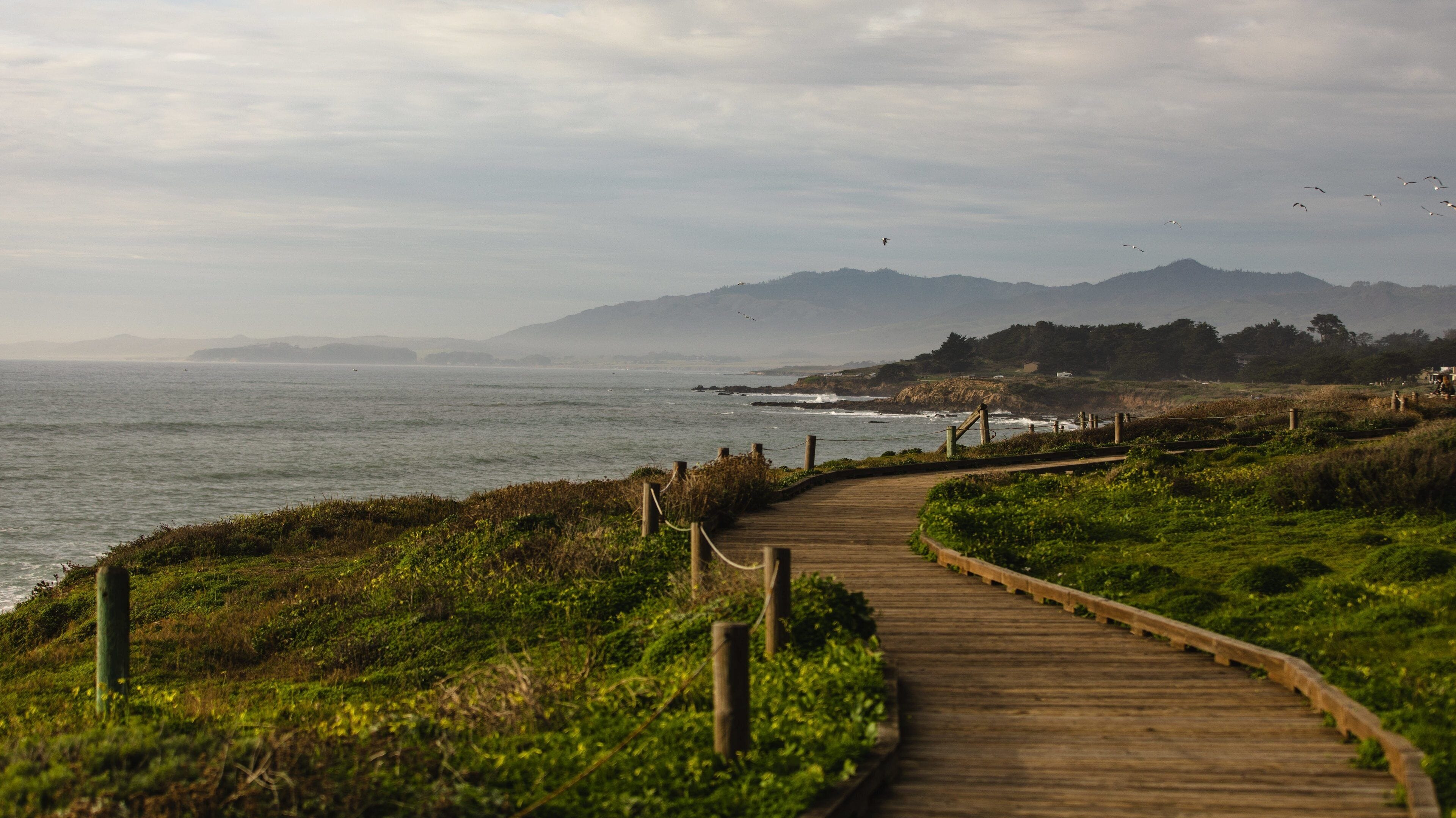 A wooden boardwalk along a coastal path with grassy areas and a view of the ocean and distant mountains.