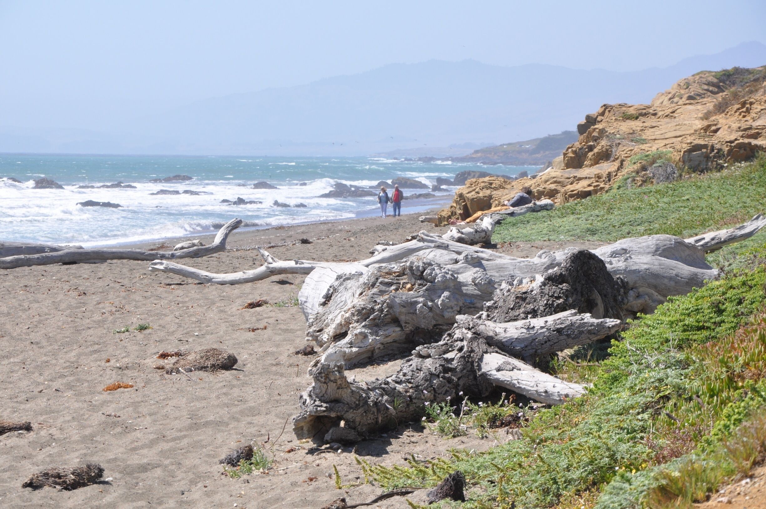 We stopped for just an hour at Moonstone Beach, which was aptly named! 

It was quite windy, but the kids had fun chasing the birds as I hunted for moonstones.