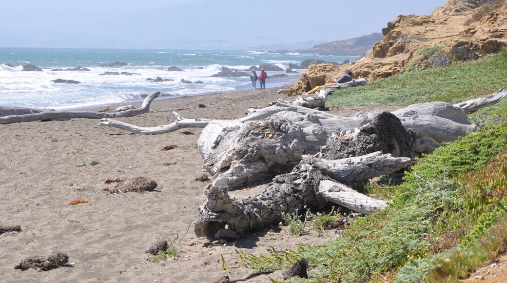We stopped for just an hour at Moonstone Beach, which was aptly named!
It was quite windy, but the kids had fun chasing the birds as I hunted for moonstones.