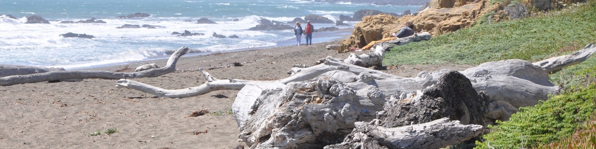 We stopped for just an hour at Moonstone Beach, which was aptly named!
It was quite windy, but the kids had fun chasing the birds as I hunted for moonstones.