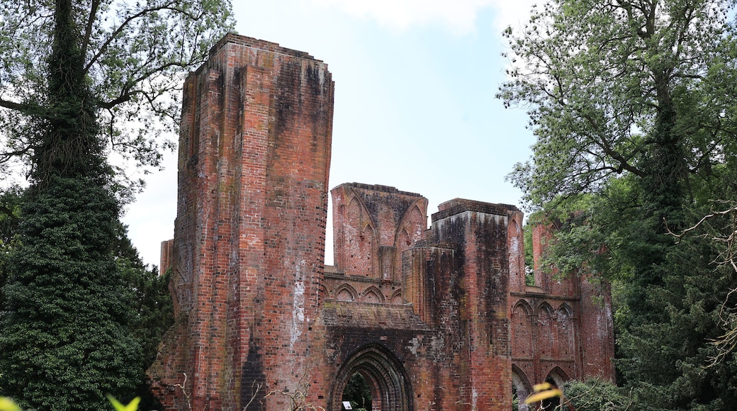Ruine von Kloster Hude im Landkreis Oldenburg in Niedersachsen