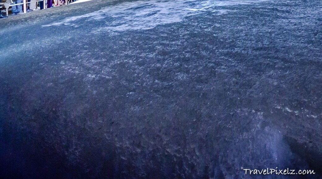 Dobsinska Ice Cave was discovered on 15 June 1870 by a royal mining engineer Eugen Ruffinyi, accompanied by G. Lang and Andrej Mega, though the entrance was known from time immemorial by shepherds and hunters as Studená diera (Cold Hole). The cave was opened to the public one year after its discovery. In 1887, it was the first electrically lit cave in Europe. #slovakia #dobsinska #icecave #instone #ice #unesco #unescoworldheritage #nationalpark