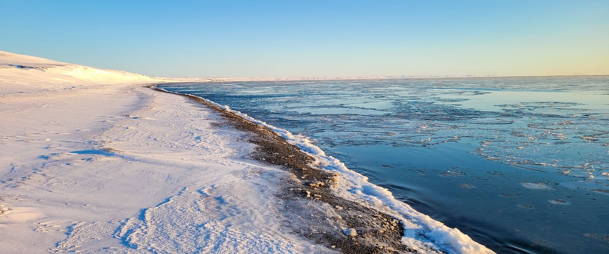 A frozen coastline with snow-covered ground and a clear blue sky.