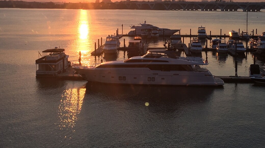National harbor dc - swim work outs meet up - twice a week