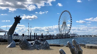 Interesting sculpture with the Capital Wheel in the background.
