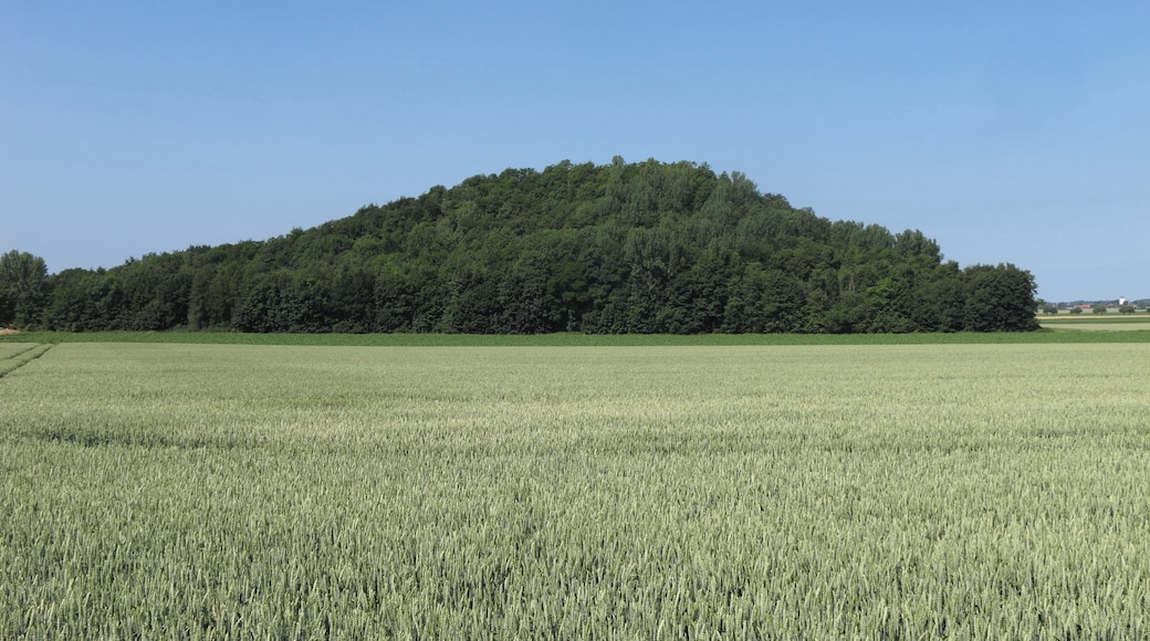 Lengede, Seilbahnberg, Ansicht von Osten