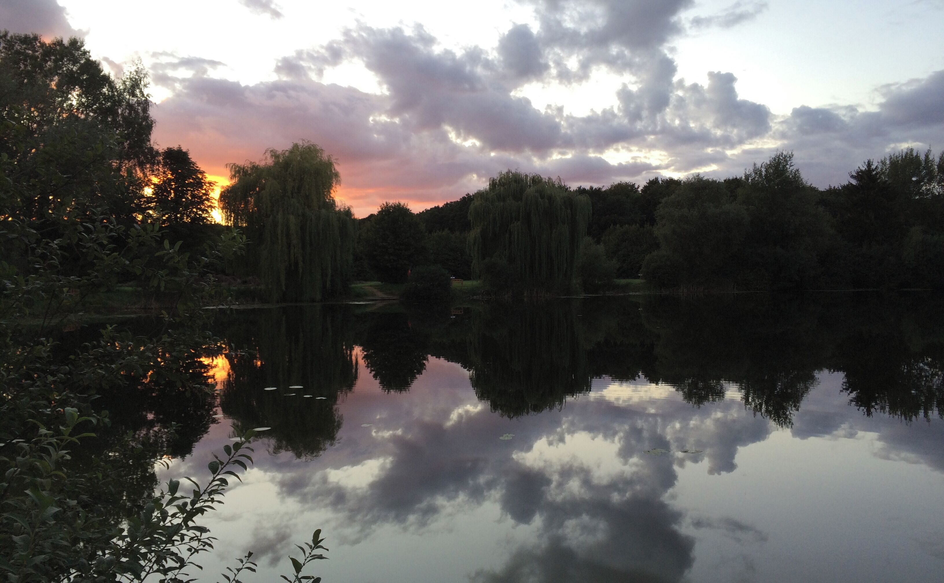 Sonnenuntergang im Landschaftsschutzgebiet "Bettmar Holz und Uhlen" (LSG PE 00037), Vechelde, Niedersachsen