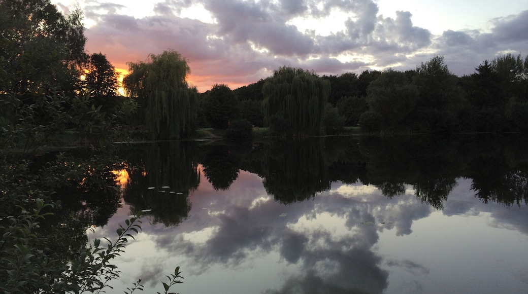 Sonnenuntergang im Landschaftsschutzgebiet "Bettmar Holz und Uhlen" (LSG PE 00037), Vechelde, Niedersachsen