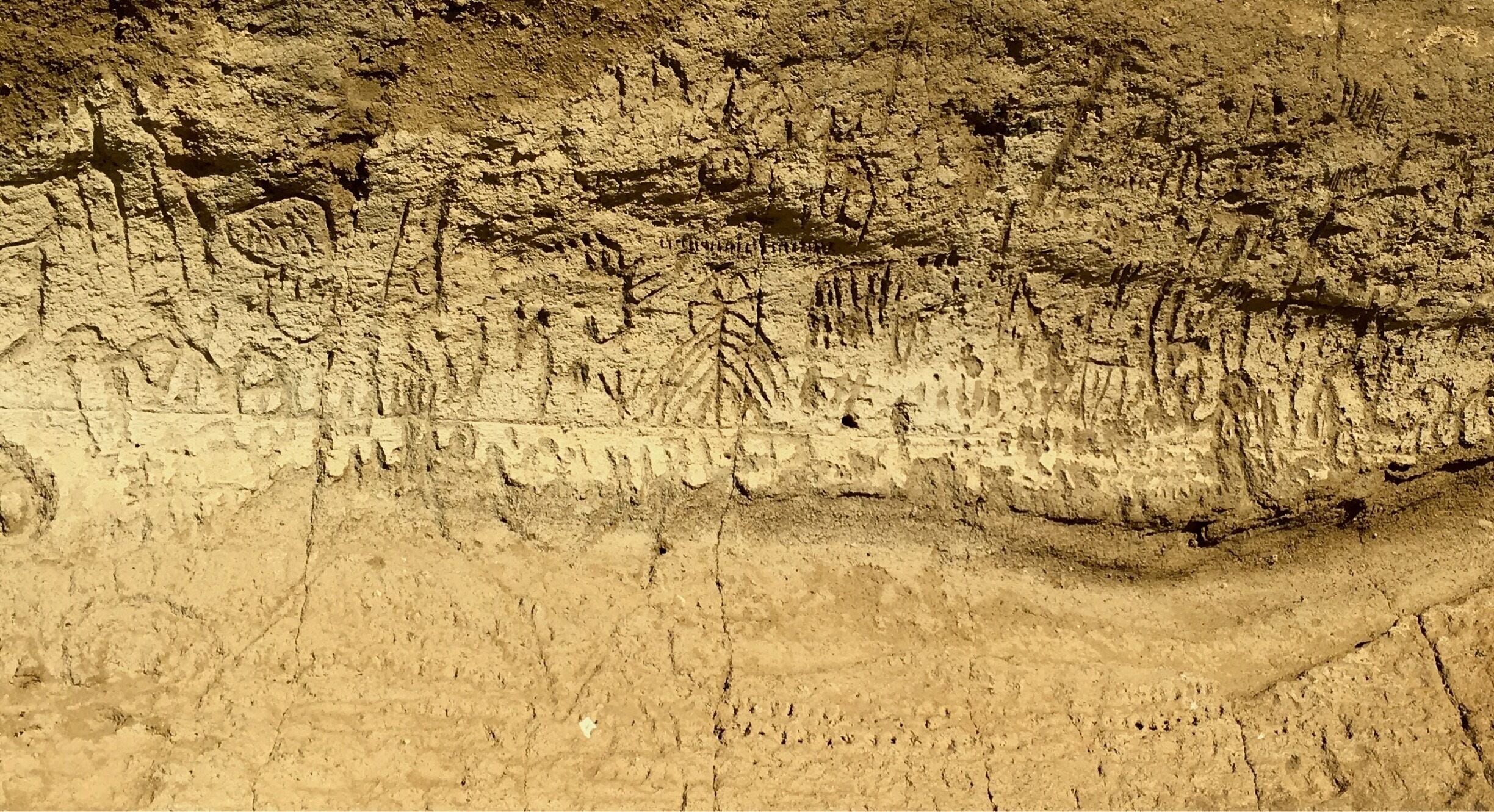 This spot has very special significance to the Modoc and other tribes that used to live in this area of California. Petroglyphs cover the face of steep rock face. One may hike to the top of it for a good view of the neighboring Tulelake Wildlife Refuge. Lava Beds National Monument not only has interesting lava tube caves and landscape but a lot of more modern California history.
#GreatOutdoors #Hiking #LavaBeds #Tulelake #Camping 
#History #NaturalHistory