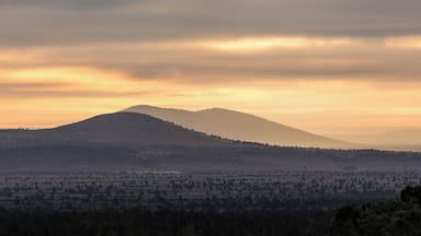 Early morning light.
#lifeatexpedia