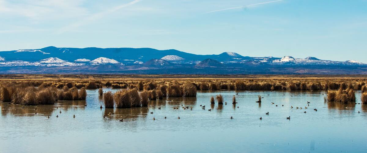 Tule Lake National Wildlife Refuge
