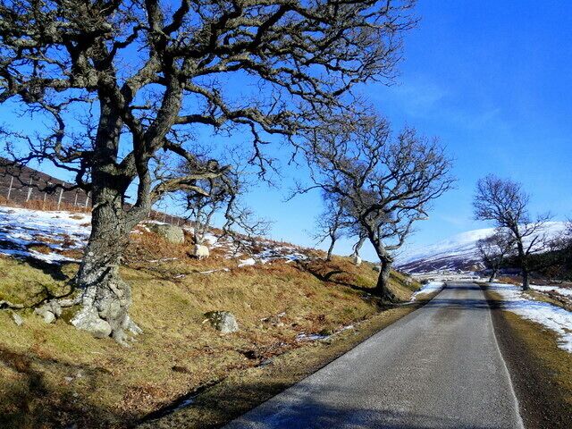 A rural road flanked by leafless trees and a snow-covered landscape.