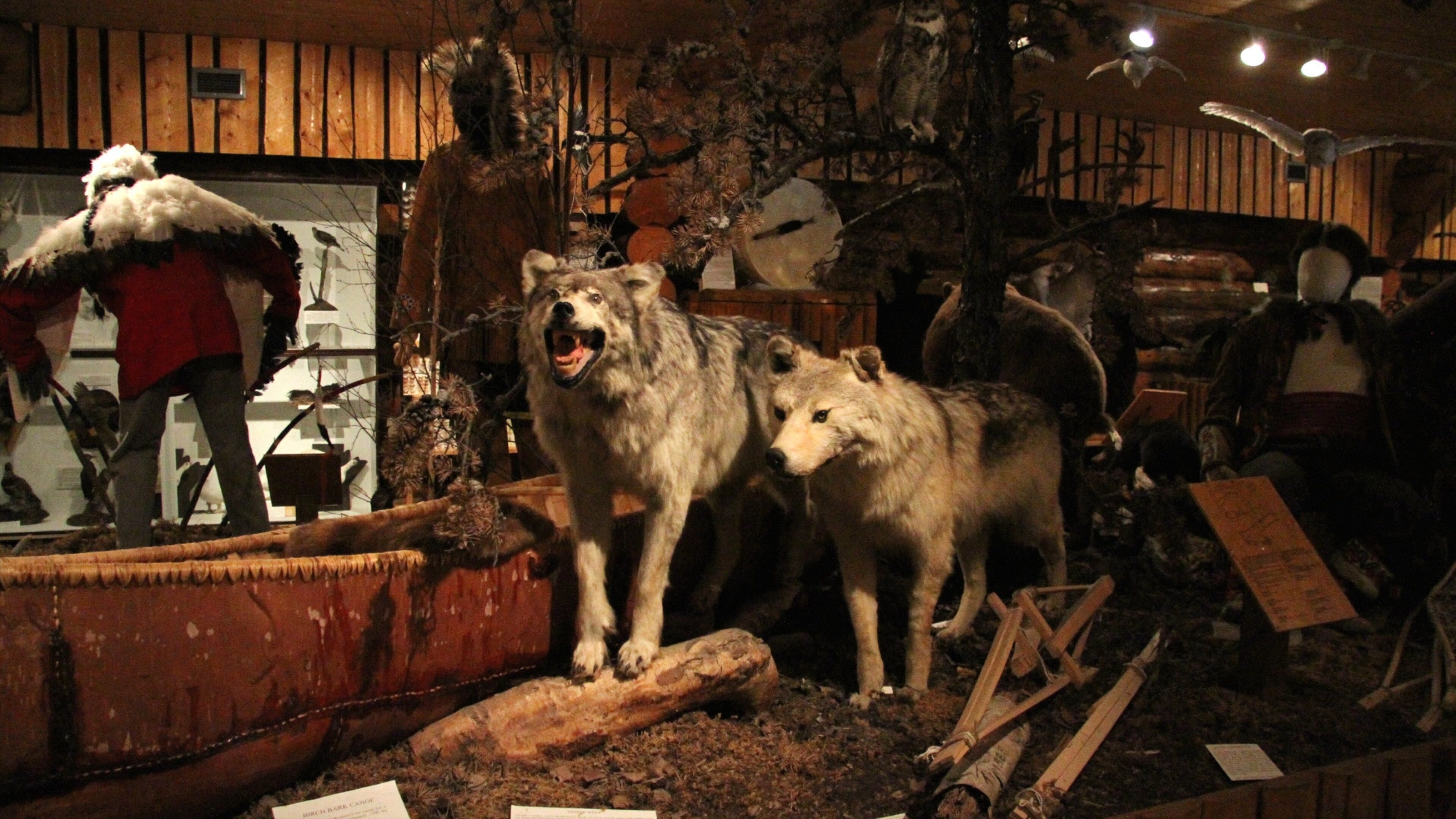 Heritage North Museum ofreciendo vistas de interior