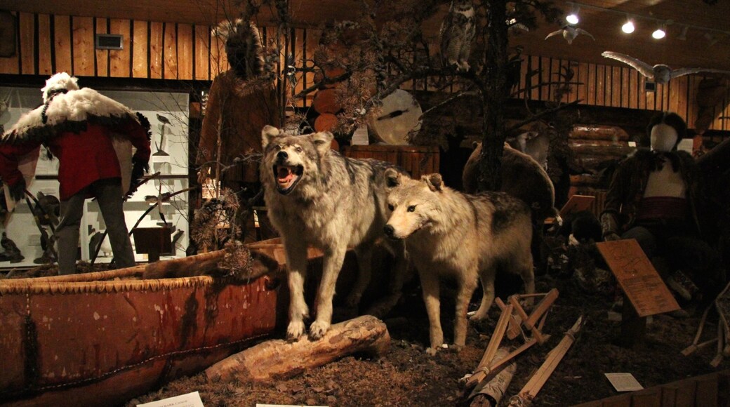 Heritage North Museum ofreciendo vistas de interior