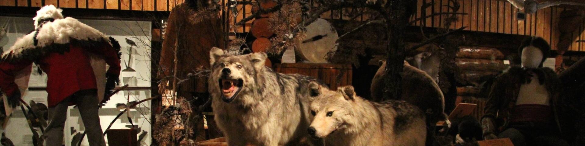 Heritage North Museum featuring interior views