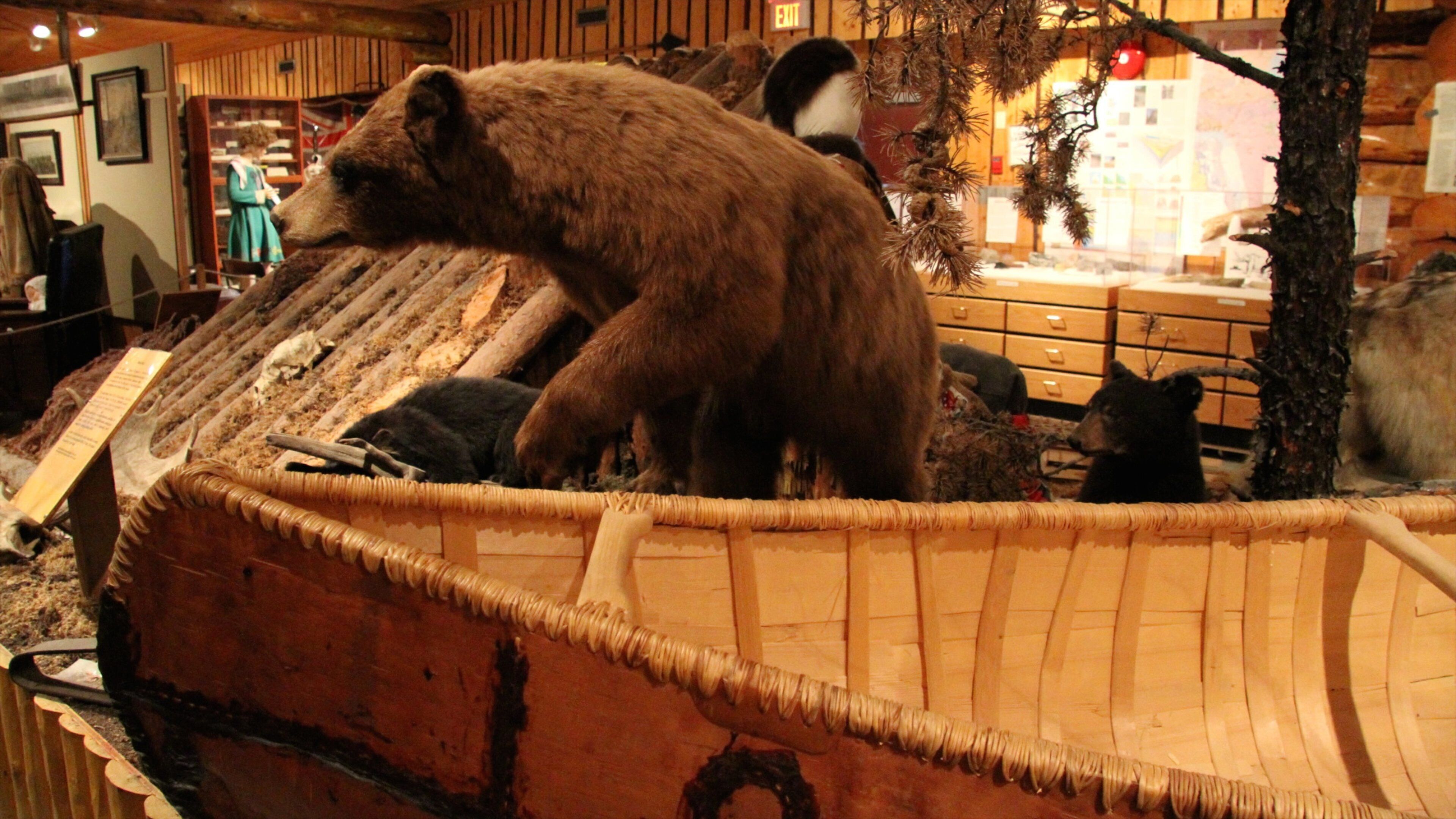 Heritage North Museum mostrando vistas de interior