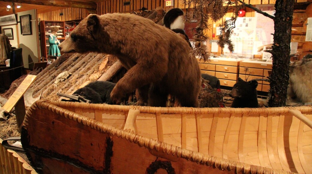 Heritage North Museum mostrando vistas de interior