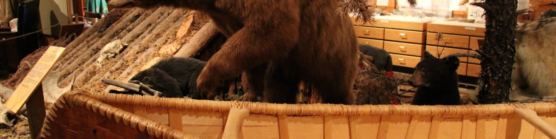 Heritage North Museum which includes interior views