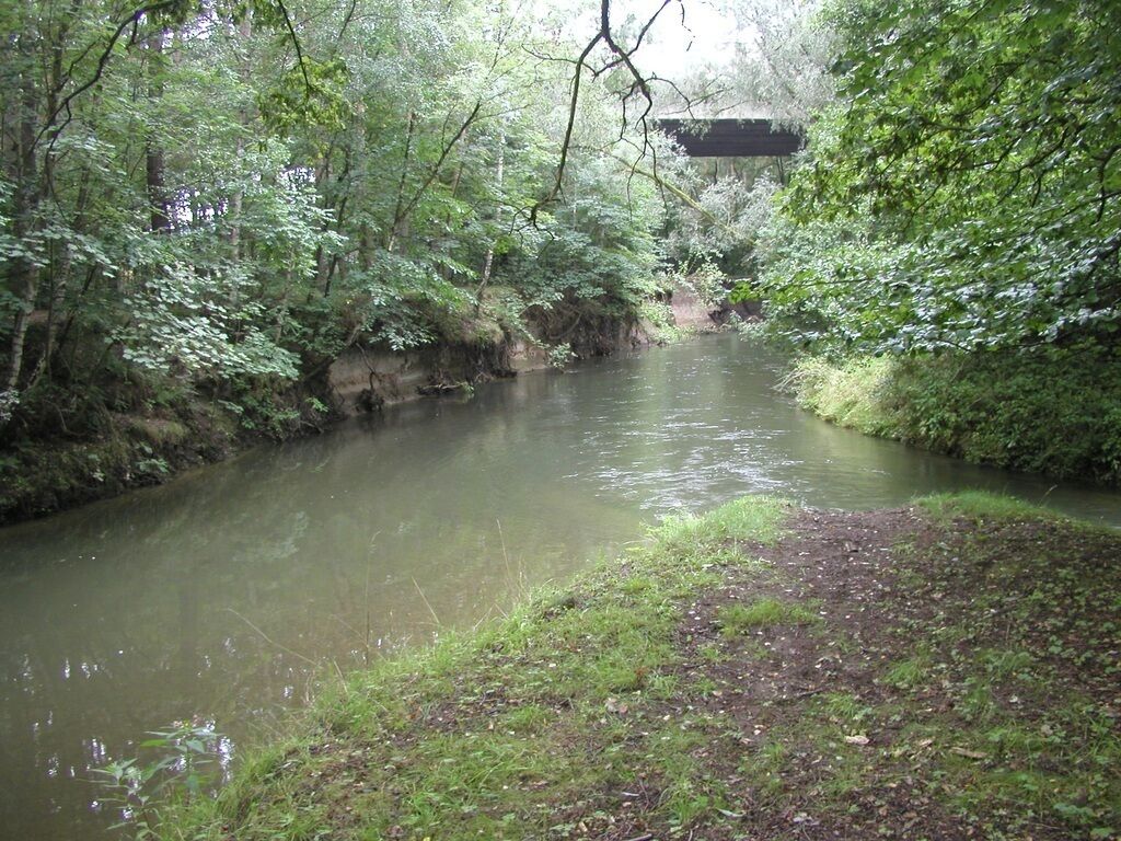 Die Innerste fließt in die Innerste