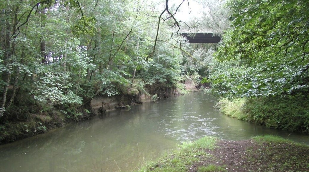 Die Innerste fließt in die Innerste