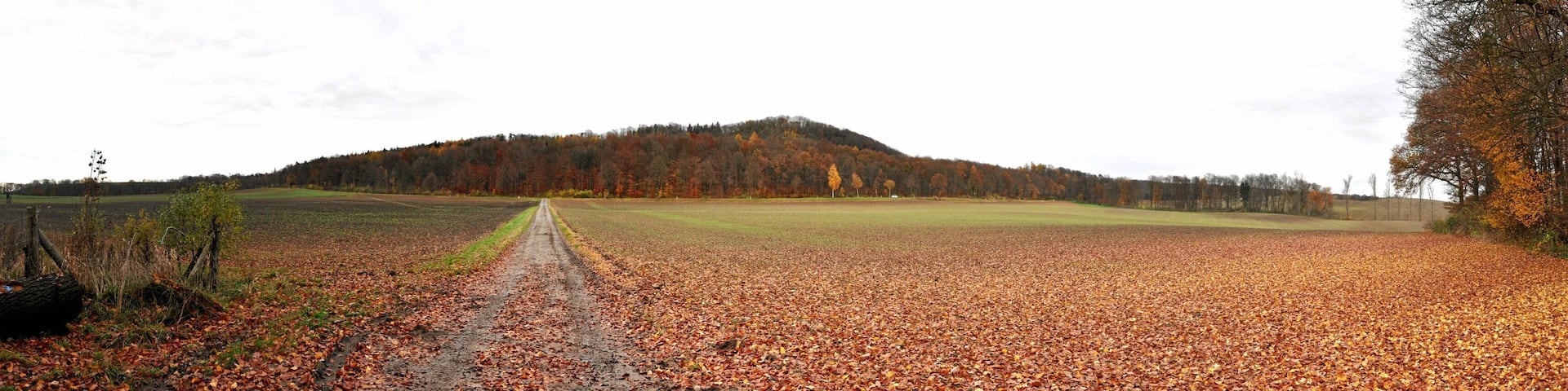Blick nach Osten, 07.11.2010, 15:20Uhr