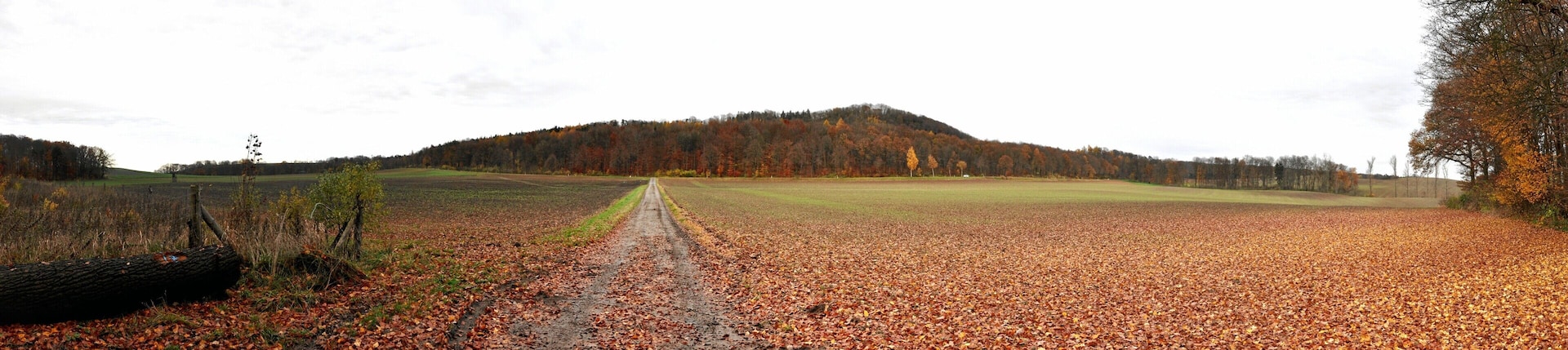 Blick nach Osten, 07.11.2010, 15:20Uhr