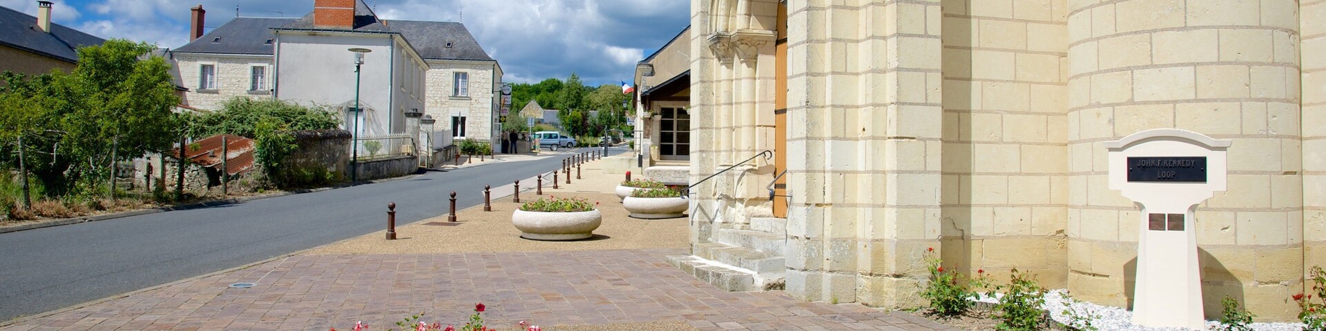 Saint-Benoßt-sur-Loire montrant petite ville ou village, église ou cathédrale et scÚnes de rue