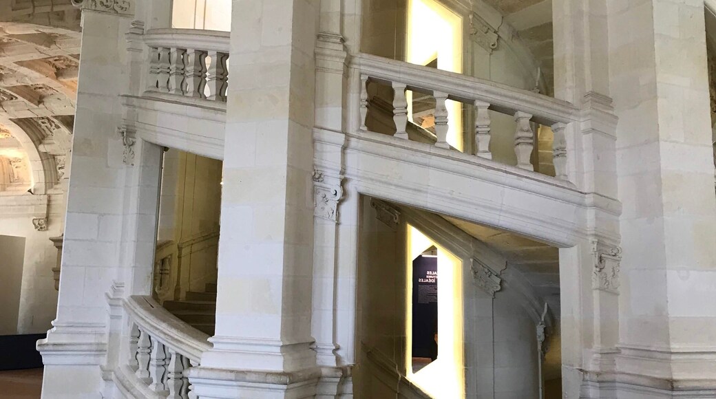 Leonardo da Vinciâs double helix staircase in the amazing ChĂąteau de Chambord