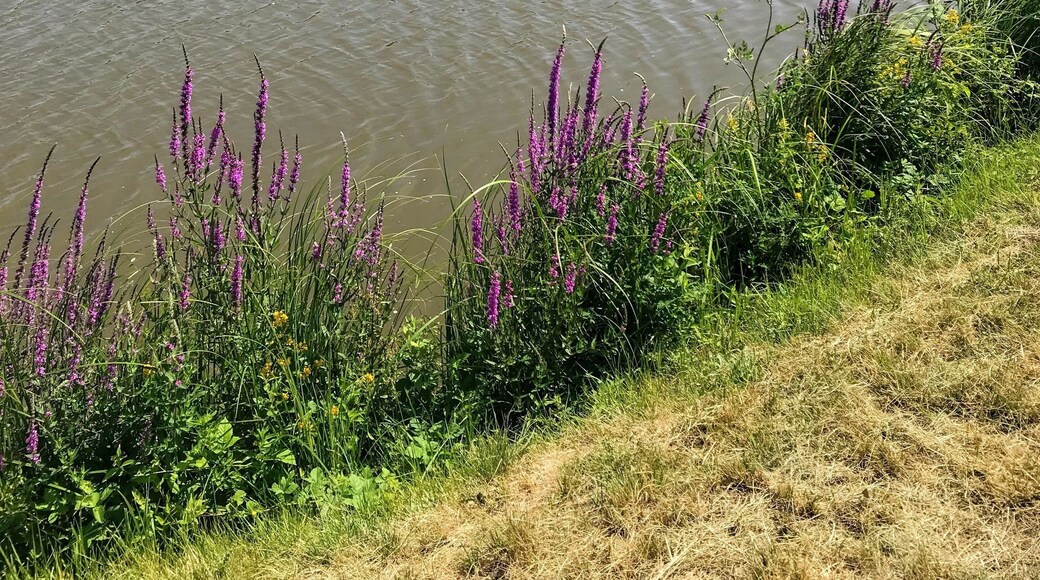 Magnificent ChĂąteau de Chambord đđ«đ·