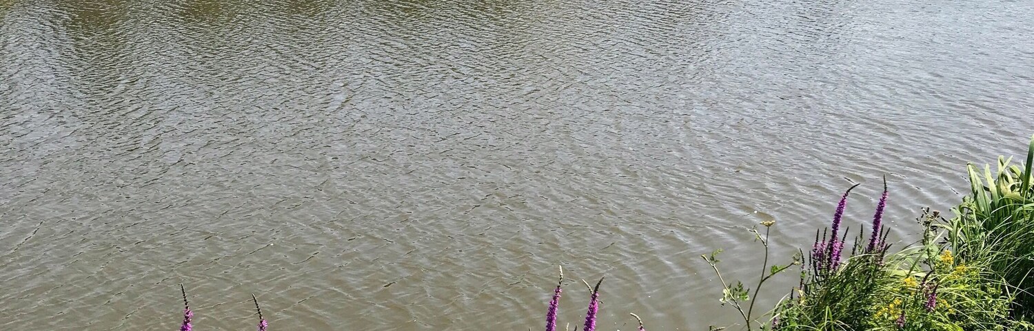 Magnificent Château de Chambord 😘🇫🇷