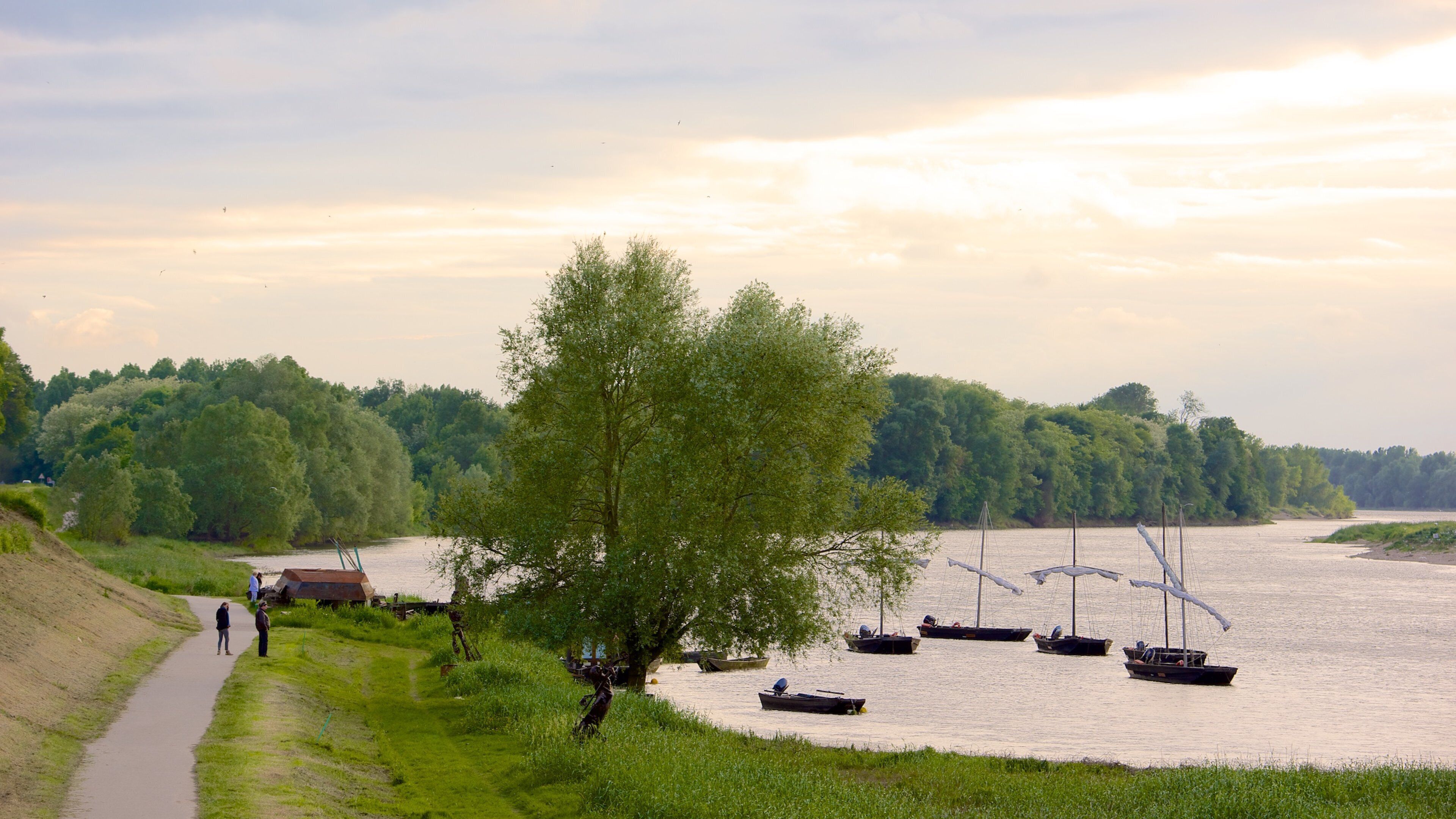 Chaumont-sur-Loire featuring a river or creek, a bay or harbour and tranquil scenes