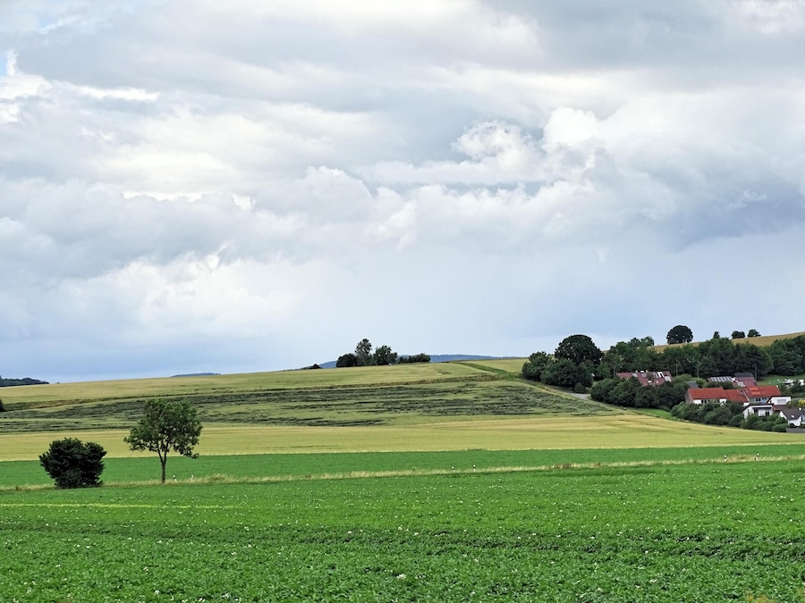 Paisaje rural con colinas onduladas, campos verdes, árboles dispersos y algunas casas.