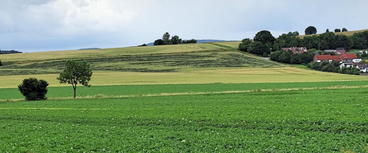 A rural landscape with rolling hills, green fields, scattered trees, and a few houses.
