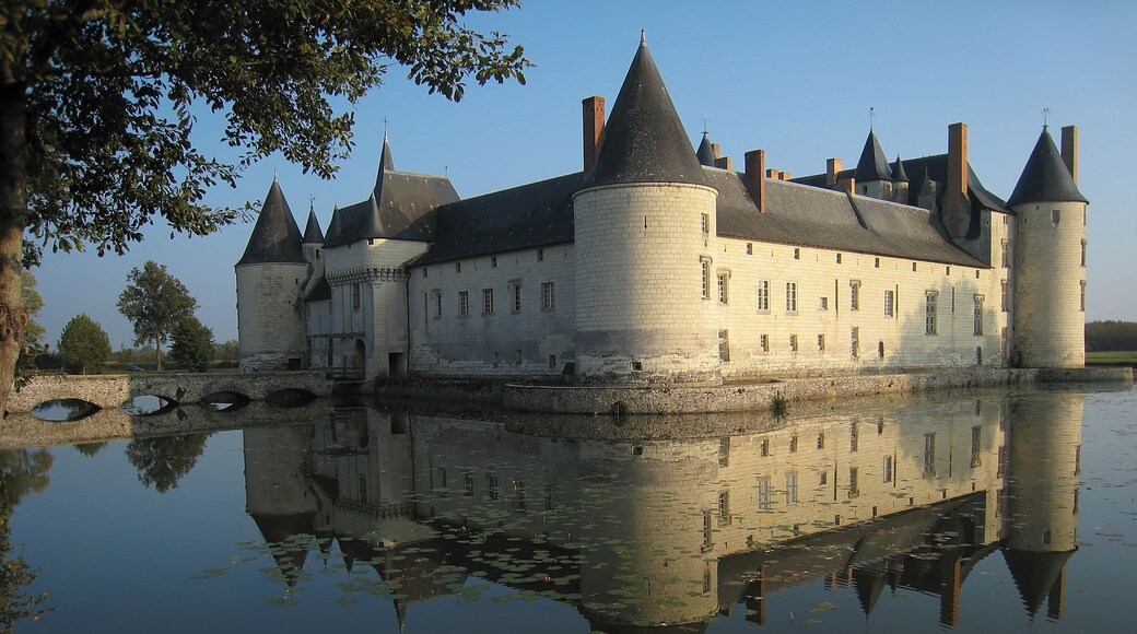 Castle Le Plessis-Bourré, located near the village of Écuillé in Maine-et-Loire département, France.