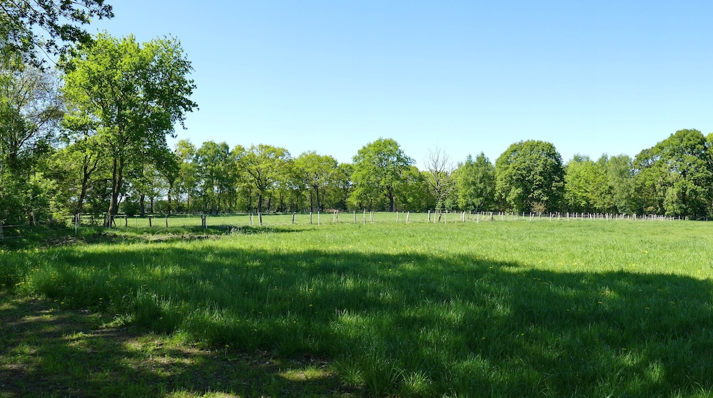 Auf den lehmig sandigen Böden des Landschaftsschutzgebietes Toteismoor (LSG-H 62) überwiegt die Ackernutzung. Die noch vorhandenen typischen Landschaftsstrukturen wie Grünlandflächen, Brachen, feuchte Senken, einzelne alte Eichen auf Grünlandparzellen, Eichen-Birken-Hecken, Jungaufwuchs von Erlen und Birken sowie einzelne Waldparzellen werden hier besonders geschützt.