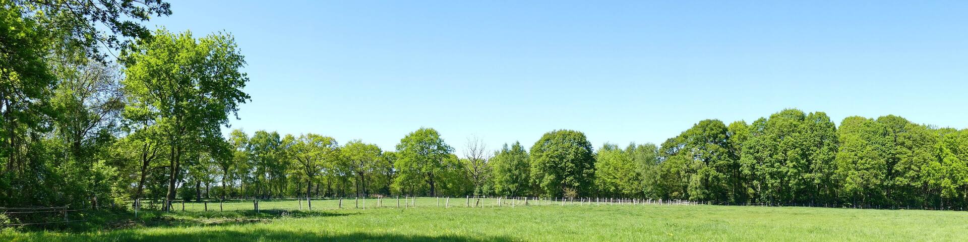 Auf den lehmig sandigen Böden des Landschaftsschutzgebietes Toteismoor (LSG-H 62) überwiegt die Ackernutzung. Die noch vorhandenen typischen Landschaftsstrukturen wie Grünlandflächen, Brachen, feuchte Senken, einzelne alte Eichen auf Grünlandparzellen, Eichen-Birken-Hecken, Jungaufwuchs von Erlen und Birken sowie einzelne Waldparzellen werden hier besonders geschützt.