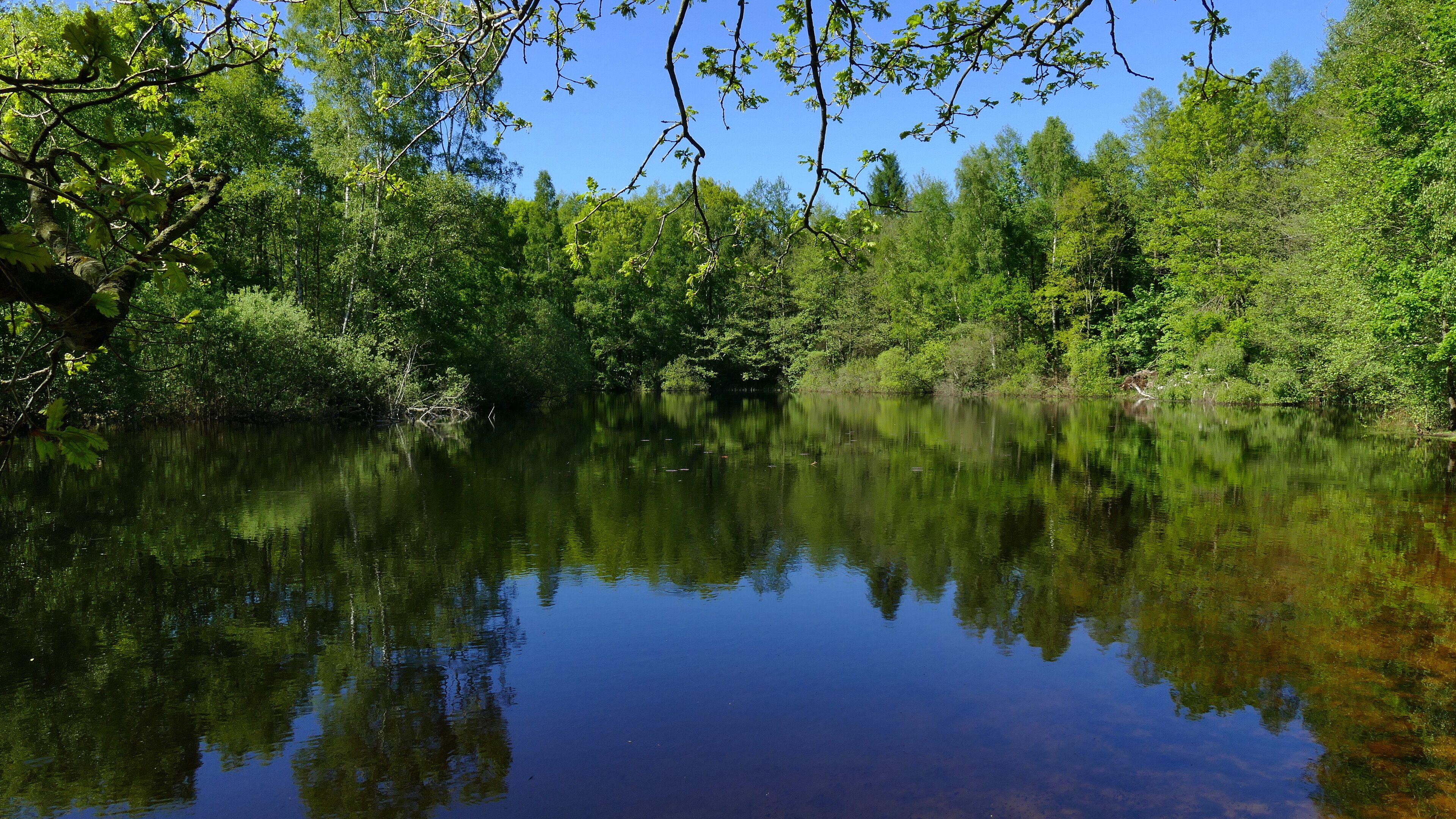 Im Burgdorfer Holz (LSG-H 16) werden auch die künstlich angelegten Teich im Waldgebiet Beerbusch geschützt. Diese Teiche wurden geschaffen, um Tieren, die das Wasser benötigen, einen Lebensraum zu schaffen.