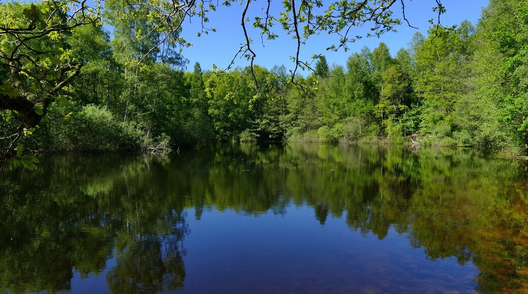 Im Burgdorfer Holz (LSG-H 16) werden auch die künstlich angelegten Teich im Waldgebiet Beerbusch geschützt. Diese Teiche wurden geschaffen, um Tieren, die das Wasser benötigen, einen Lebensraum zu schaffen.